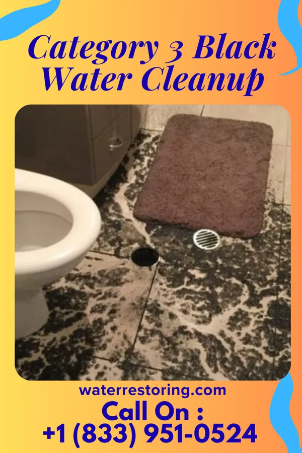 Category 3 Black Water Cleanup in Rome, PA