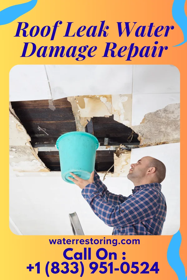 Roof Leak Water Damage Repair in Rome, PA