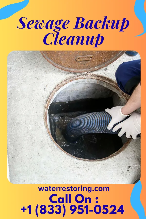 Sewage Backup Cleanup in Rome, PA